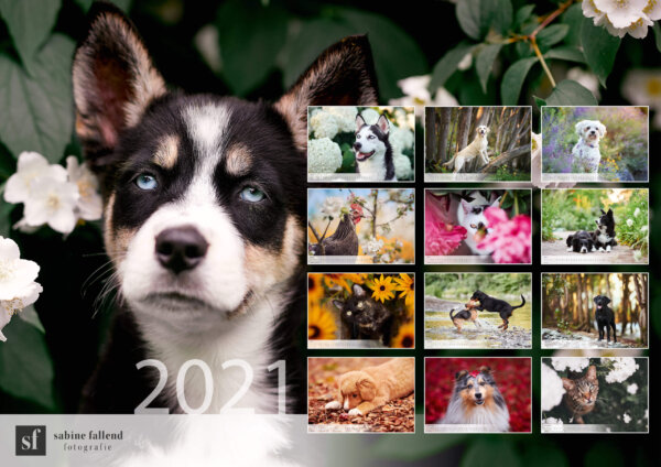 Fotokalender 2021