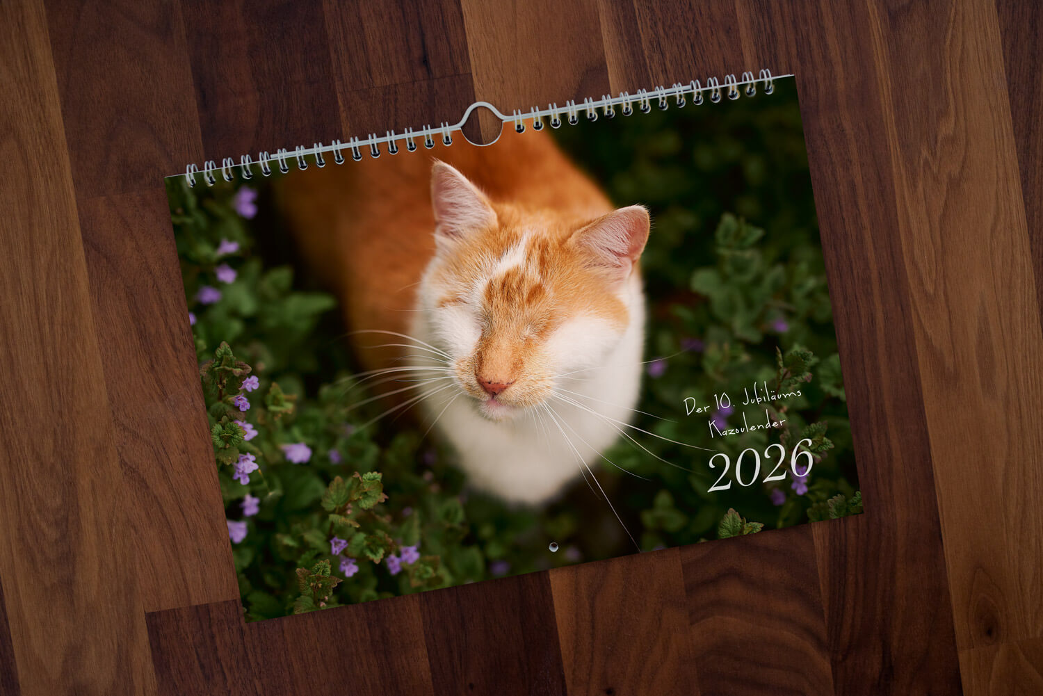 Kazouleder 2026 Titelbild des Kazoulenders 2026